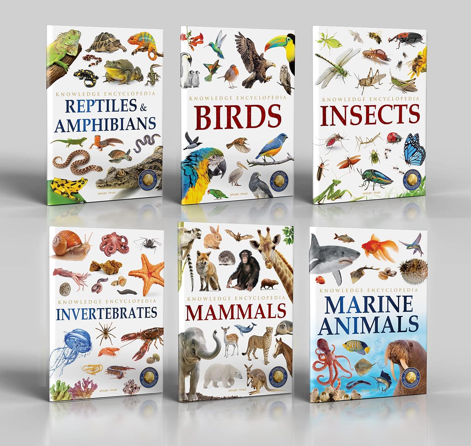 Animals - Collection of 6 Books : Knowledge Encyclopedia For Children (Box Set)